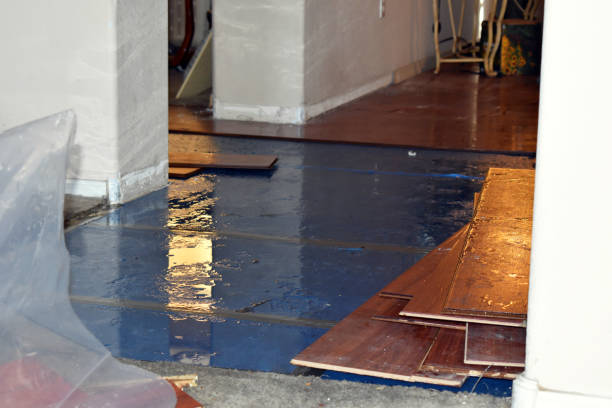 Professional Flood Cleanup technician working in Uehling, NE